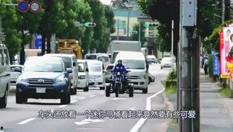 八鹅吃瓜菌不空娱乐,揭秘网络热梗背后的趣味世界